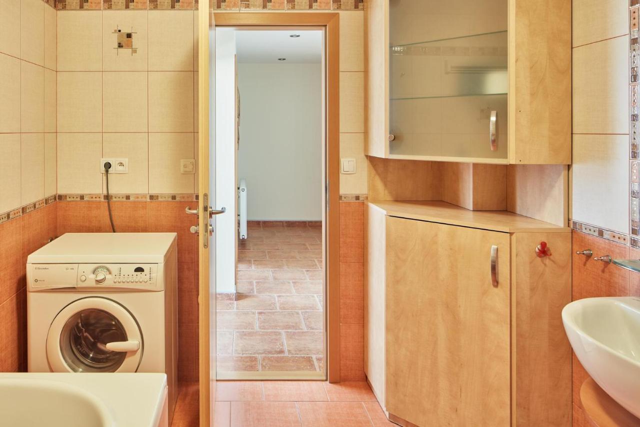Spacious In Vrsovice By Days